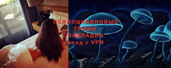 хмурый Шарыпово
